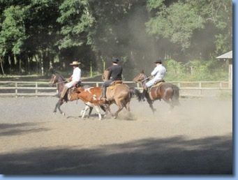 3 Reiter führen einen Stier während des Rodeokurses.